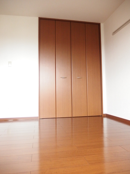 収納　同物件の別部屋になります。