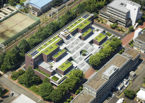 大学・短大　国立音楽大学（大学・短大）まで553m