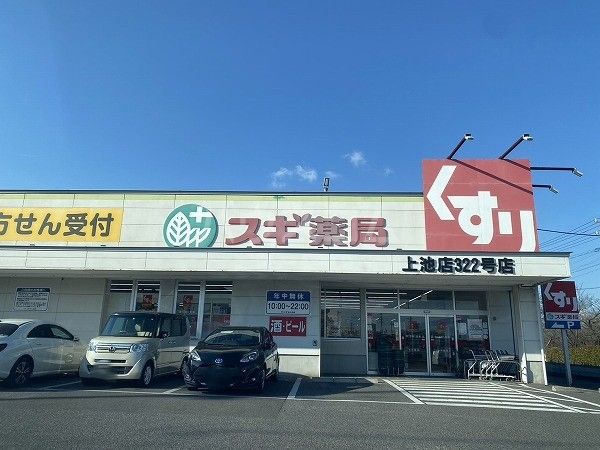 ドラックストア　スギ薬局　上池店（ドラッグストア）まで1739m