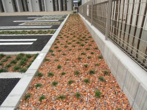 庭　庭（イメージ）