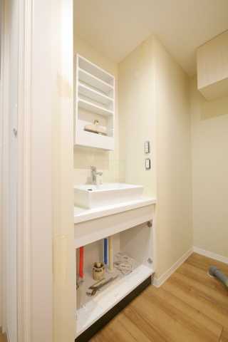 洗面設備　ウェルスクエア田端の洗面所