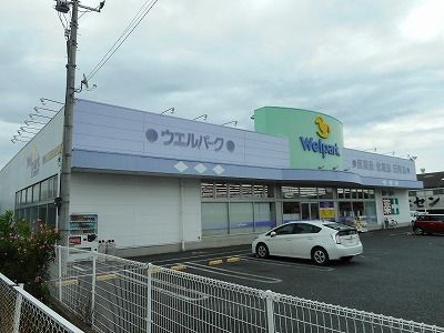 ドラックストア　ウェルパーク（ドラッグストア）まで350m
