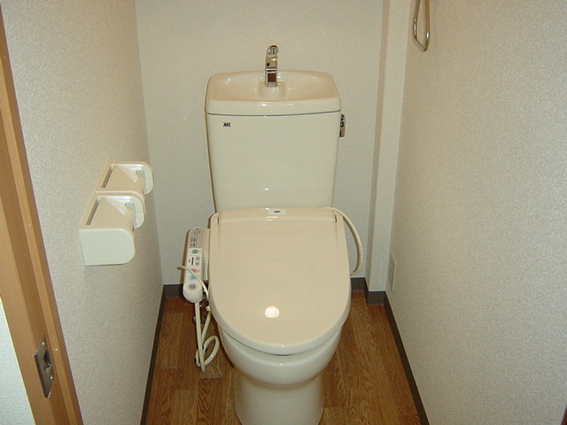 トイレ　同物件別号室のものです。