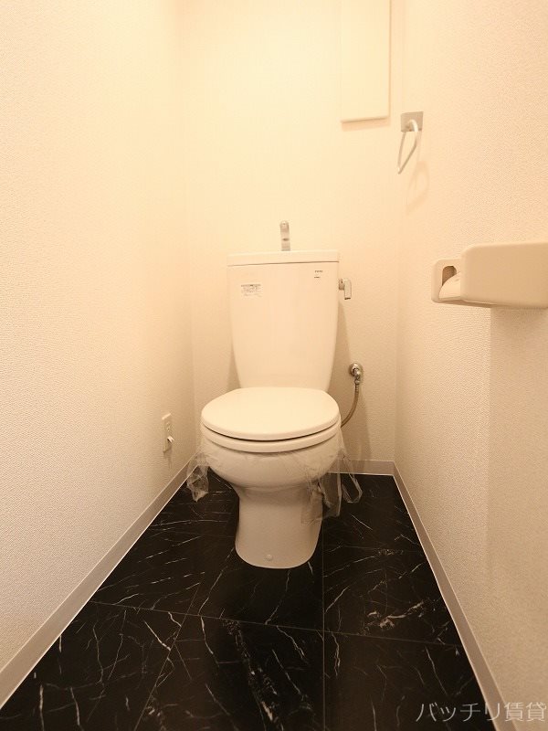 トイレ　同型タイプの為現状優先