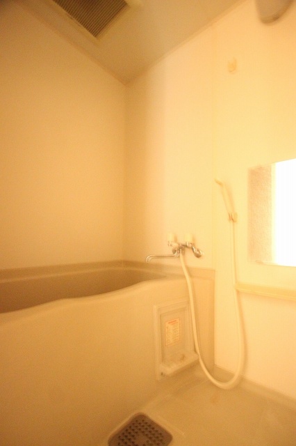 バス・シャワールーム　同物件別号室のものです。