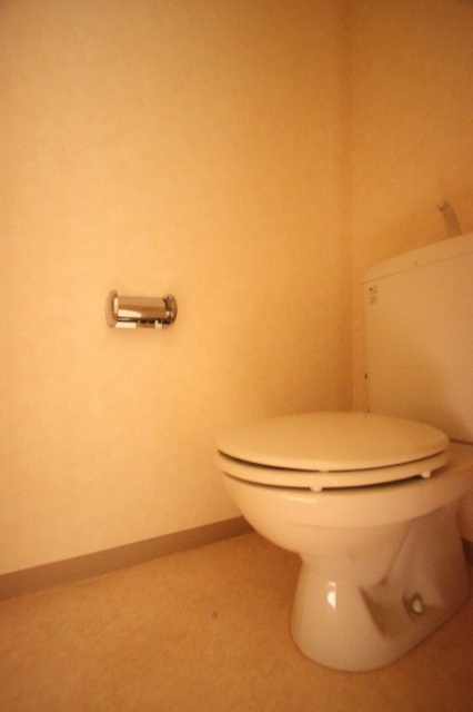 トイレ　同物件別号室のものです。