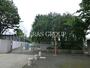 中学校　練馬区立大泉学園桜中学校（中学校）まで1134m