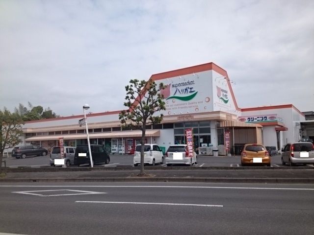 スーパー　ハリガエ（スーパー）まで550m