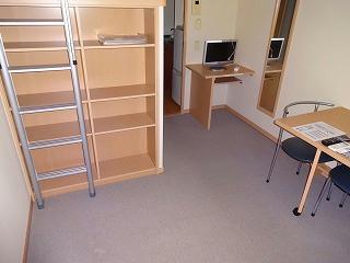 居室・リビング　2F以上はカーペット敷