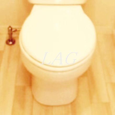 トイレ　トイレです。