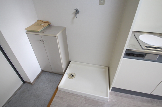 その他　反転タイプ