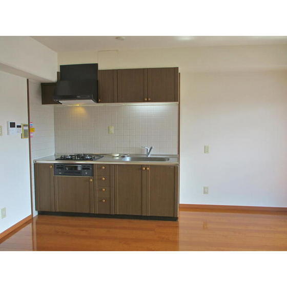 キッチン　※別号室の写真です。