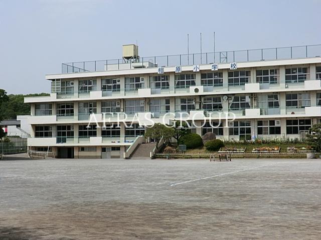 小学校　町田市立相原小学校（小学校）まで648m