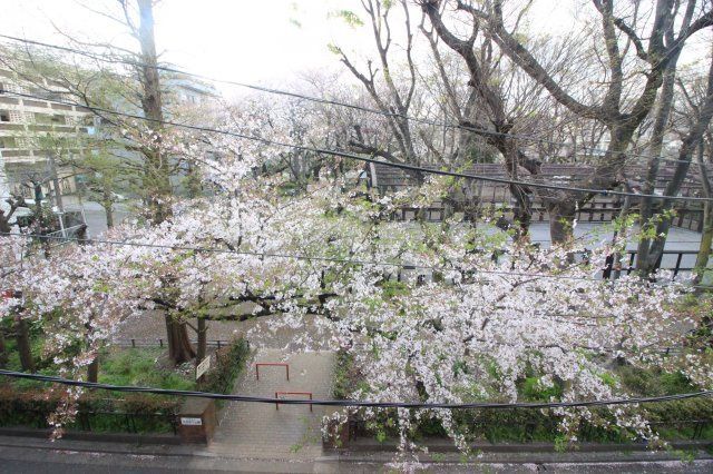 眺望　（別タイプ参考写真）パレステュディオ文京千石パークサイド　文