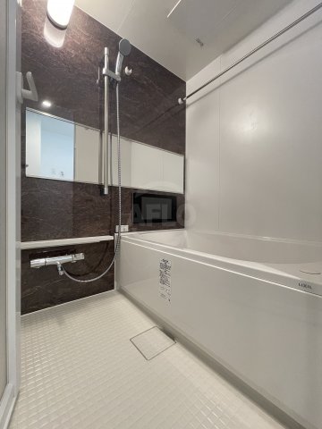 バス・シャワールーム　プレジオ難波EURO（プレジオ難波ユーロ）浴室
