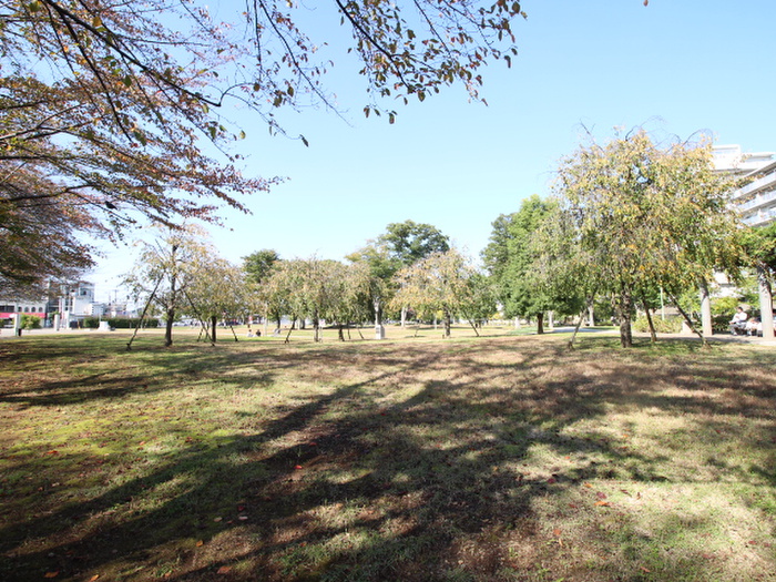 公園　福岡中央公園（公園）まで650m