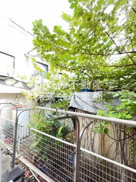 眺望　お部屋前には緑があるので、心癒されますね☆