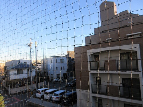 眺望　バルコニーからの眺望