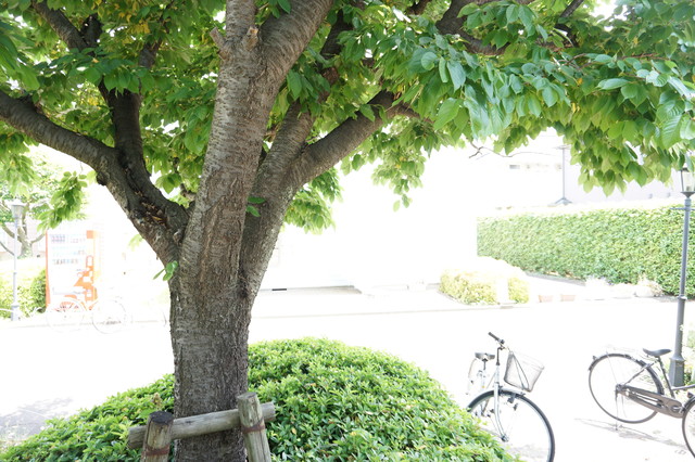 眺望　お部屋からの景色です♪