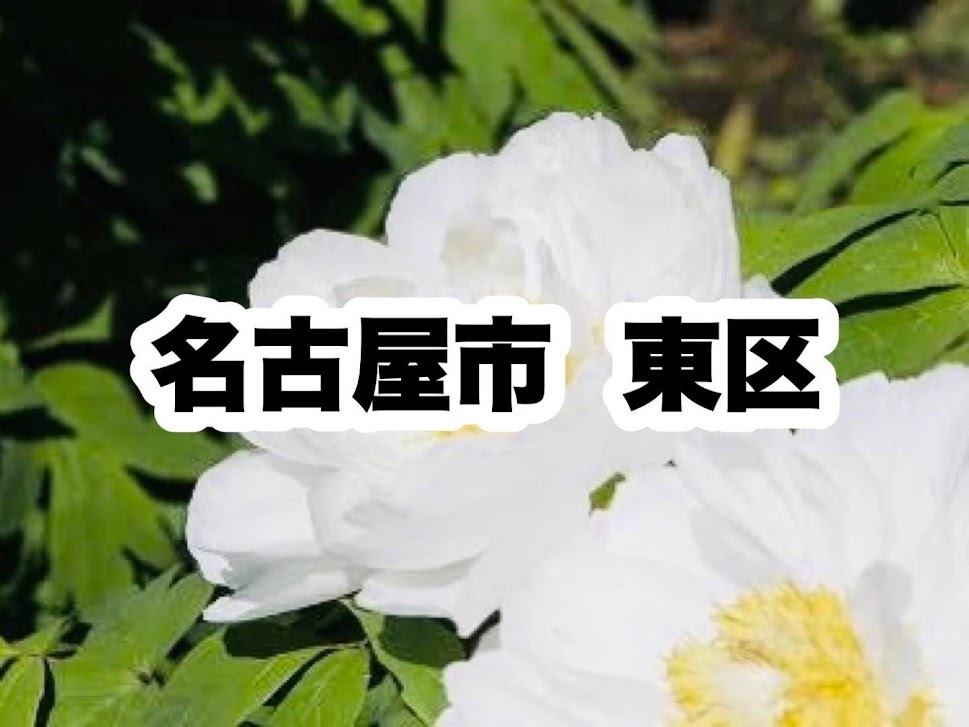 役所　東区役所｜名古屋市東区（役所）まで1135m