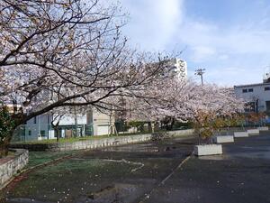 公園　東墨田公園（公園）まで594m