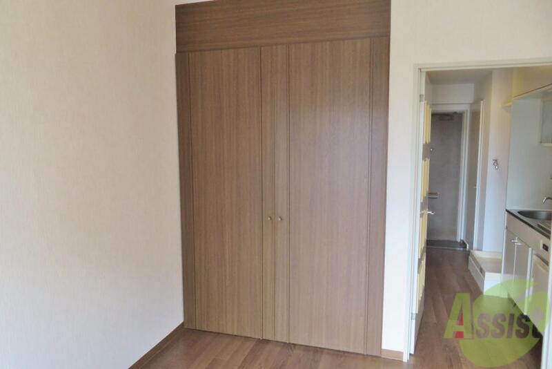 収納　クローゼットにはお気に入りの衣装を収納ですよねー