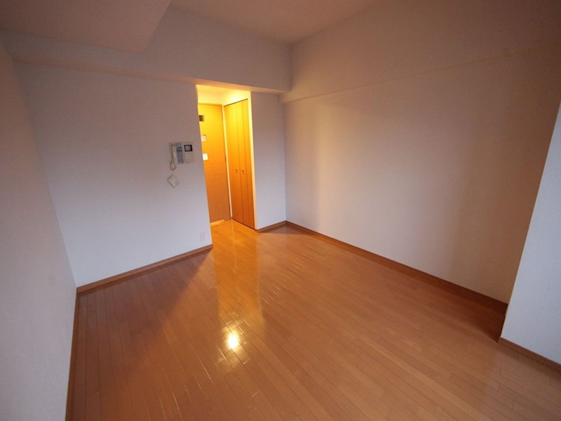 居室・リビング　洋室8.5帖　クローゼット付（収納充実してます）