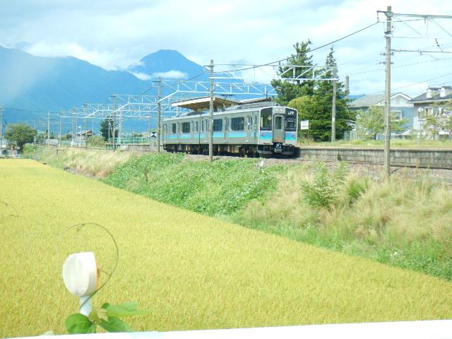 その他　梓橋駅（その他）まで860m