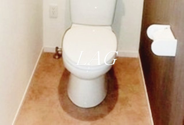 トイレ　トイレです。
