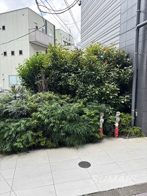 その他　植栽です☆