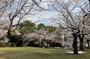 公園　山王公園（公園）まで407m