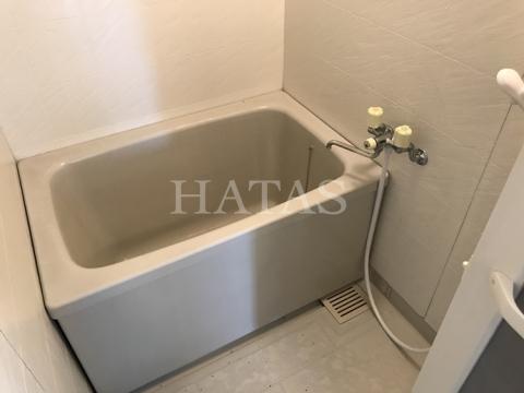 バス・シャワールーム　同物件別部屋です。