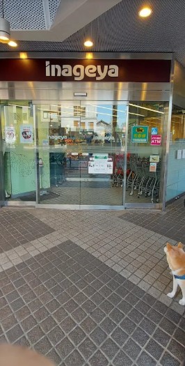 スーパー　いなげや 白金台店（スーパー）まで645m