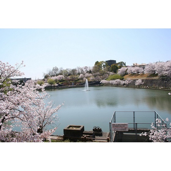 公園　中山田池公園（公園）まで1000m