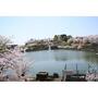 公園　中山田池公園（公園）まで1000m