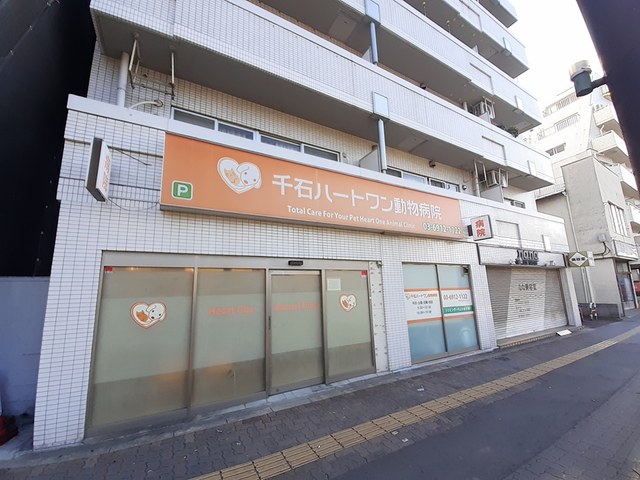その他　千石ハートワン動物病院（その他）まで313m
