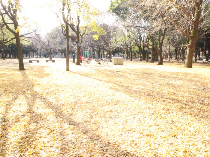 公園　蘆花恒春園（公園）まで600m