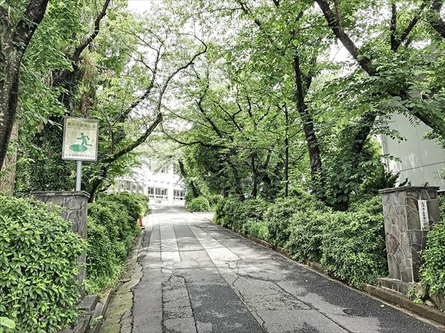 小学校　吉田小学校（小学校）まで279m