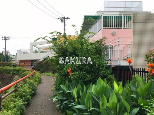 幼稚園・保育園　すみれ保育園（幼稚園・保育園）まで251m