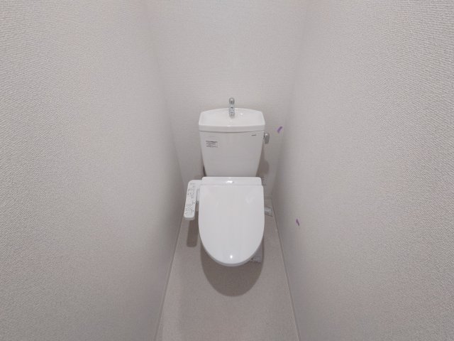 ソリティア西宮池田のトイレ写真