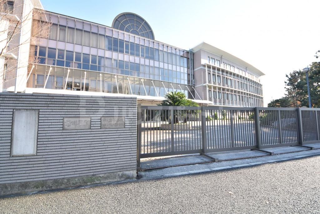 中学校　私立市川中学校（中学校）まで590m
