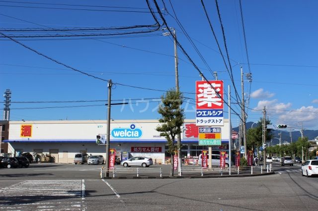 ドラックストア　ウェルシア静岡池田店（ドラッグストア）まで1137m