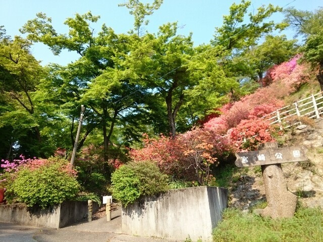 公園　宮崎公園（公園）まで550m