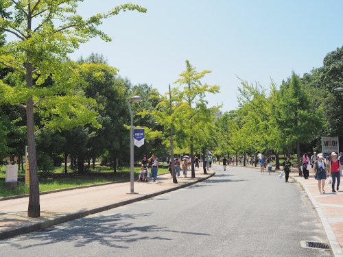 公園　長居公園（公園）まで1216m