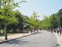 公園　長居公園（公園）まで1216m