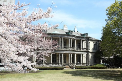 大学・短大　私立清泉女子大学（大学・短大）まで2068m