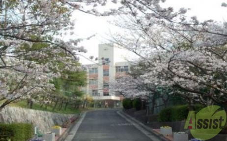 中学校　神戸市立横尾中学校（中学校）まで1335m