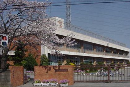 小学校　川口市立里小学校（小学校）まで1m