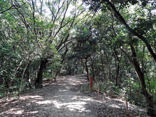 公園　高宮南緑地（公園）まで365m