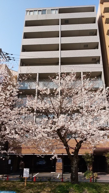 建物外観　全戸南向きで日当たり解放感が良好です。